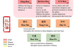 San Ren Tang: A Traditional Chinese Herbal Remedy for Clearing Dampness and Heat