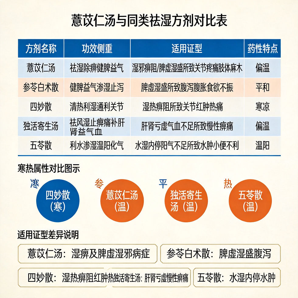 祛濕除痺第一方：薏苡仁湯全解析