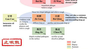 Zhi Sou San: A Simple Guide to a Cough-Soothing, Lung-Clearing Herbal Formula