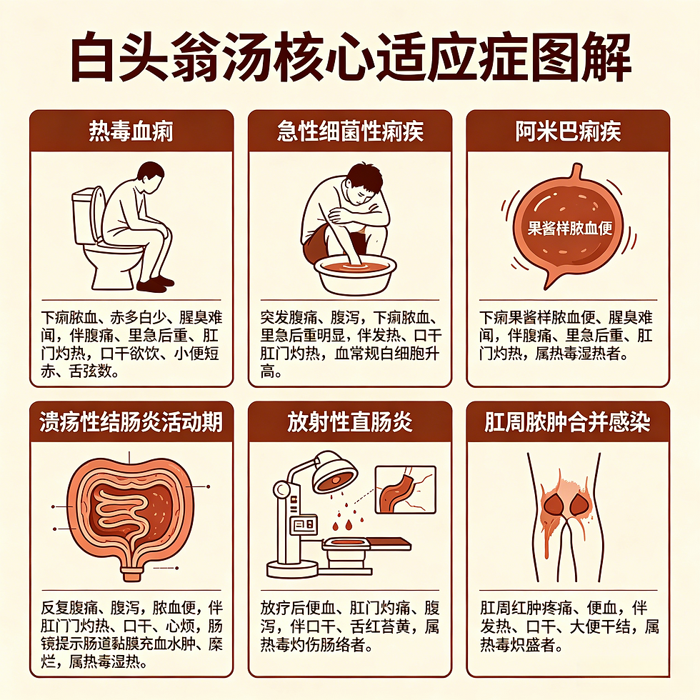 清熱解毒止痢聖方：中藥方劑白頭翁湯