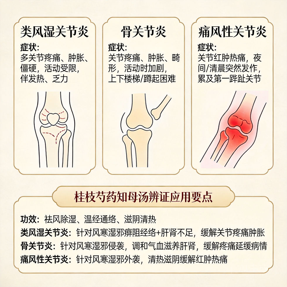 桂枝芍藥知母湯