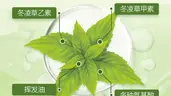 Dong Ling Cao: The TCM Herb for Soothing Throat and Detoxification