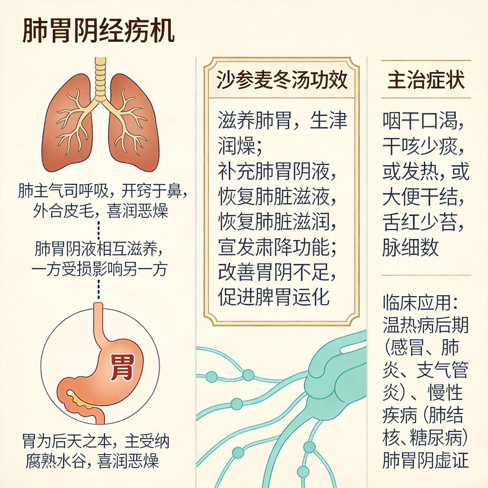 沙蔘麥冬湯