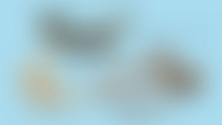 中藥材前胡詳解：宣散風熱，降氣化痰之良藥