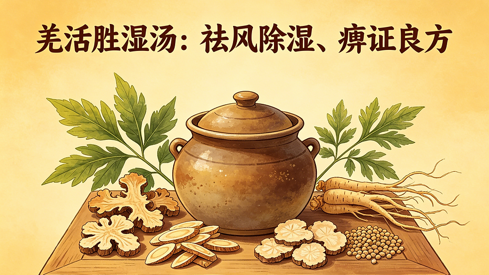 詳解羌活勝濕湯：祛風除濕的傳世痹證良方，專治頭身腰背重痛