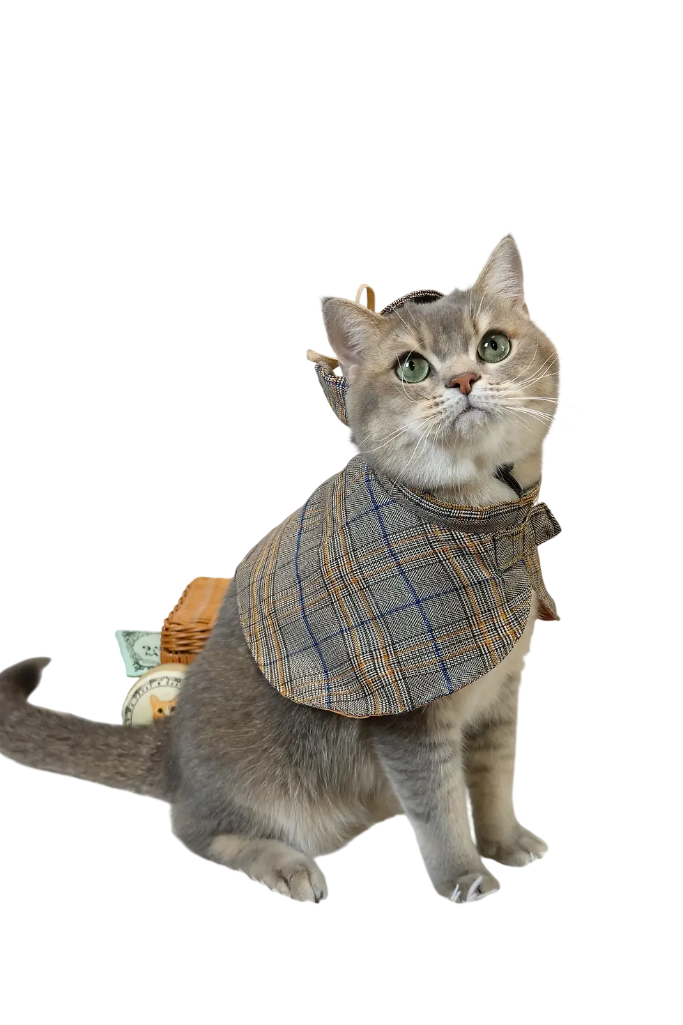 Studio photography of a cat dressed in a Sherlock Holmes-style outfit, complete with a plaid cape and deerstalker hat. The cat has a curious and focused expression against a plain black background.