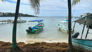 West End – where the reef begins right on your doorstep