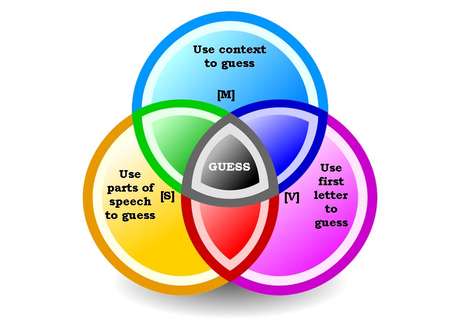 A Review of "The Reading Strategies Book"