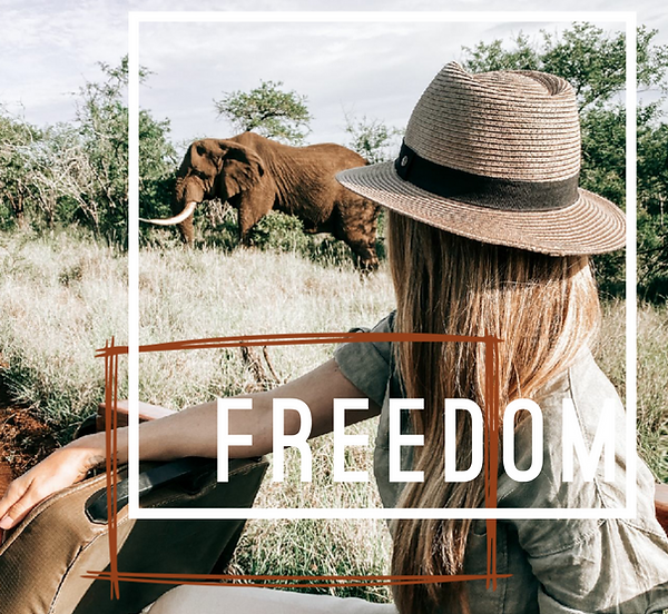 Norovari Tours local expert guides sharing a profound connection to the heart of South Africa and the Zulu Kingdom.