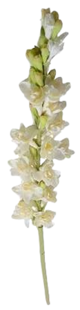 images__7_-removebg-preview.png