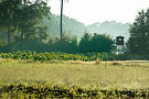 _DSC7325_edited.jpg