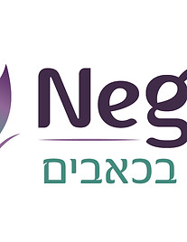 לוגו רוחבי.jpg