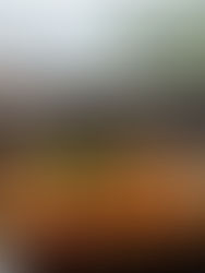 Sushi Dominates, Chinese Cuisine Lags: Chinese Restaurants in Cluj-Napoca’s Asian Food Market