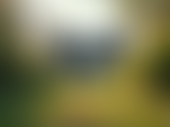 Preventing Water Damage: Tips for Chandler Homeowners