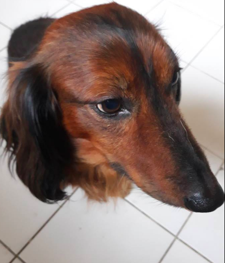 Sam