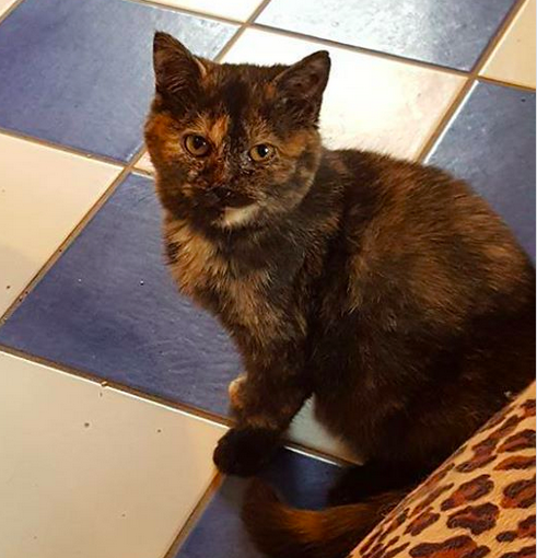 Delilah