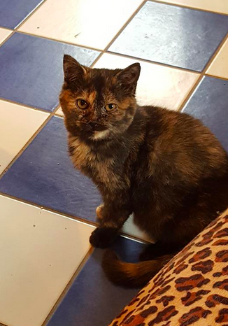 Delilah