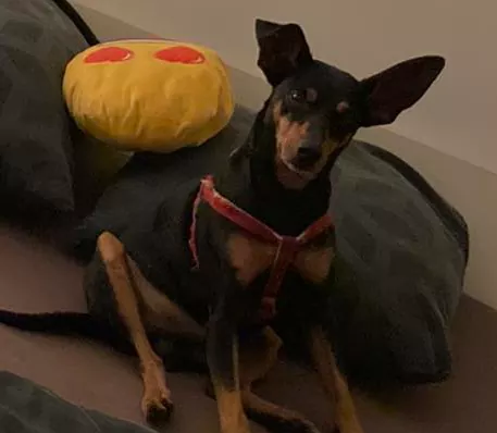 Tairo