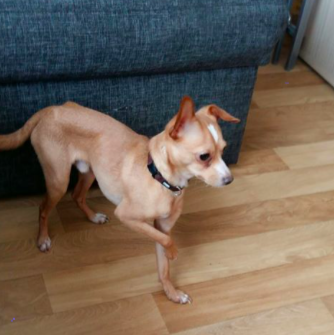 Léo