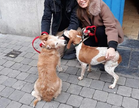 Nika et Vespa