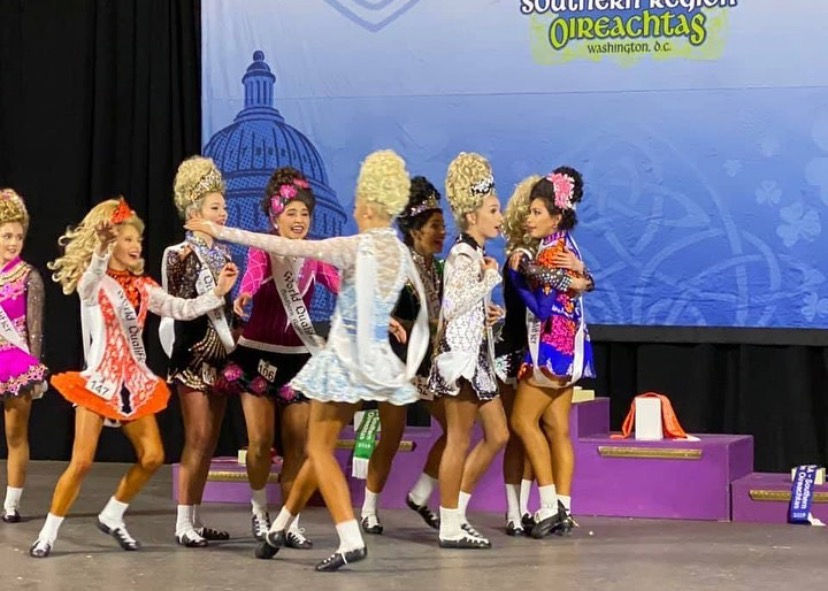 2019 oireachtas