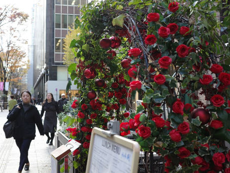 Winter stroll in Marunouchi