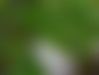 async