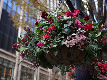 Winter stroll in Marunouchi