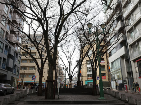 Spring is in the air