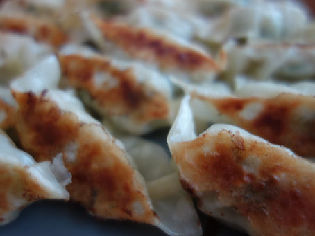 Gyoza and fried rice