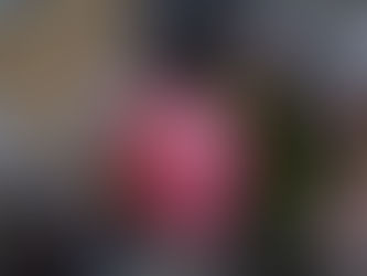 I'm traveling into the Showa period