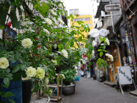 Another side of Shinjuku
