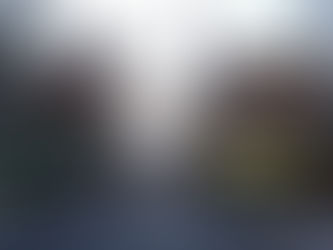 Stroll around Torigoe