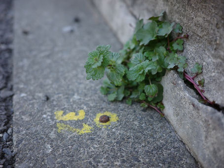 Spring is in the air