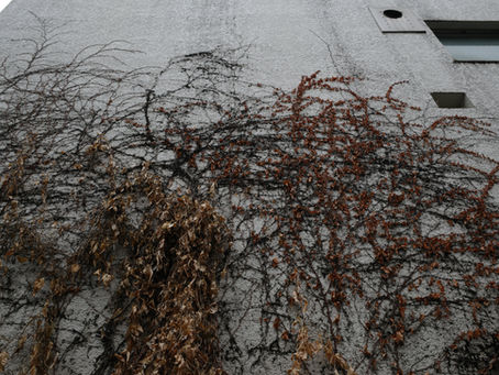 World with a radius of 500 meters