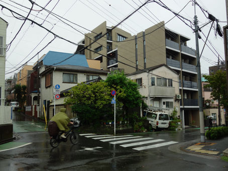 Rain
