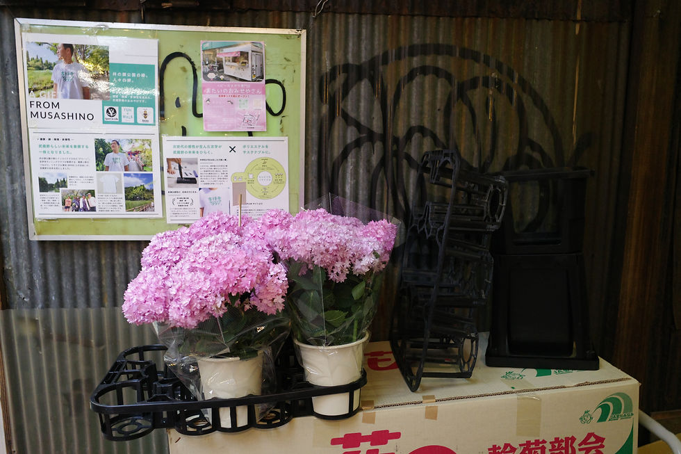 Stroll around Kichijoji