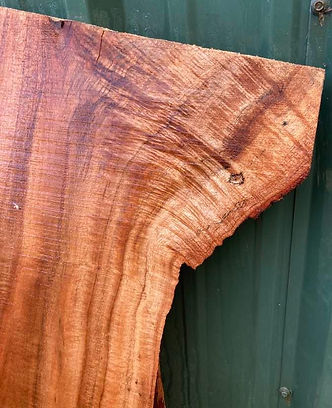 Kauai Koa Farm Koa wood with figuring and curl 299179030_731060604349