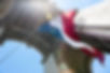 11062b_b552a0244795412ebdaf55ef86bb0caf~mv2_edited.jpg