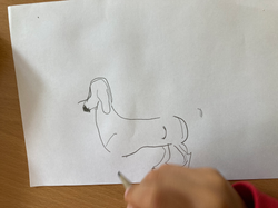 20240605_150642427_iOS