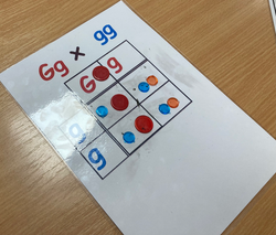 20240229_162342577_iOS