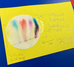 20240314_122816953_iOS