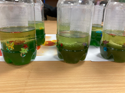 20230424_122323451_iOS