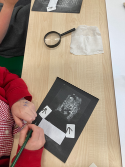 20230516_151736669_iOS