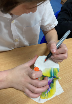 20240208_162737346_iOS