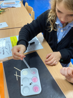 20230921_112514683_iOS