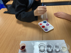 20230928_152026099_iOS