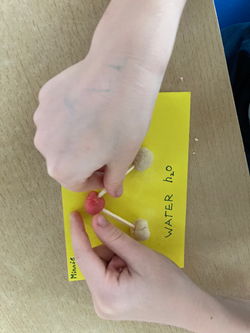 20231010_151711149_iOS