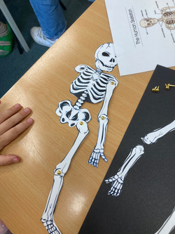 20240702_145000576_iOS