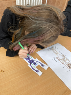 20231031_155504823_iOS